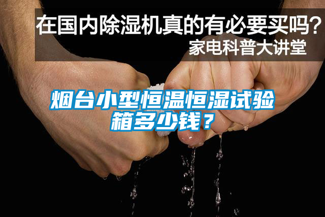 煙臺小型恒溫恒濕試驗箱多少錢(qián)？