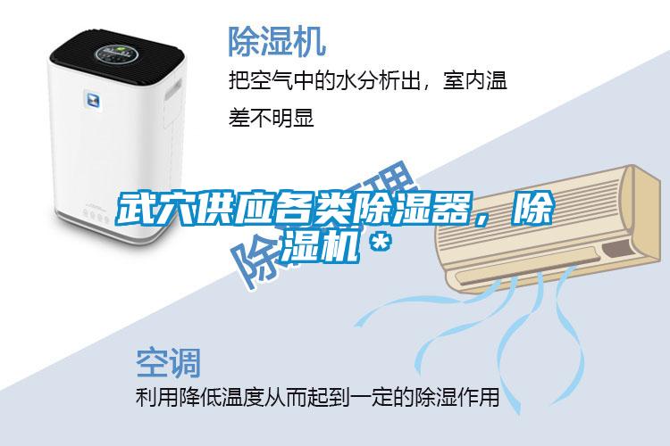 武穴供應各類(lèi)除濕器，除濕機＊