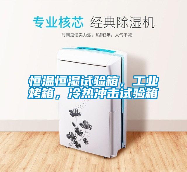 恒溫恒濕試驗箱，工業(yè)烤箱，冷熱沖擊試驗箱