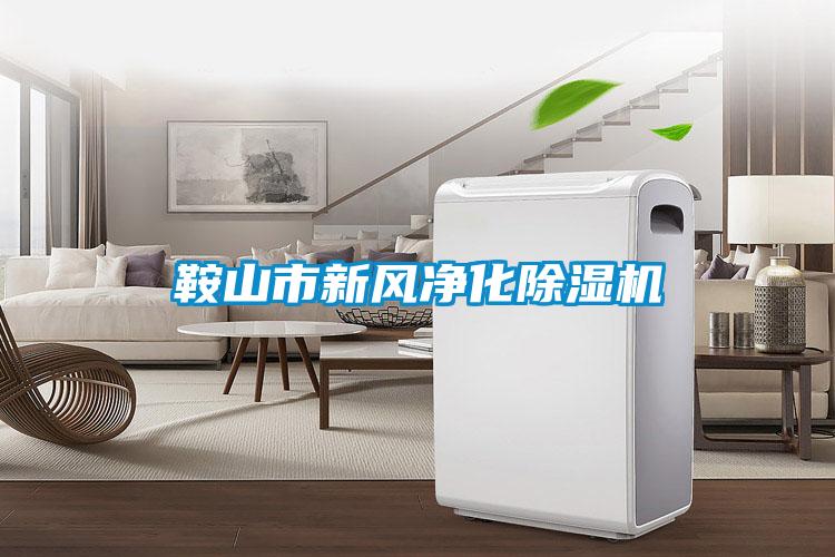 鞍山市新風(fēng)凈化除濕機