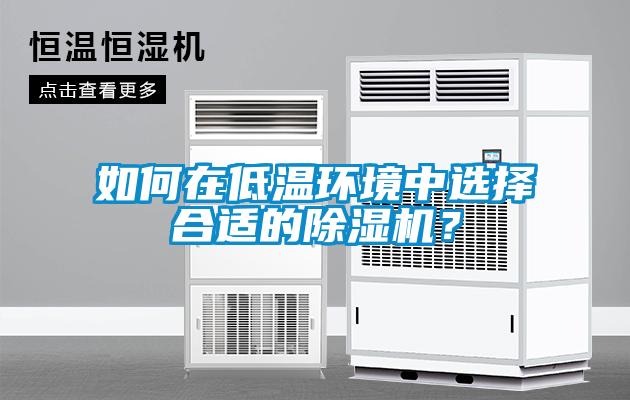 如何在低溫環(huán)境中選擇合適的除濕機？