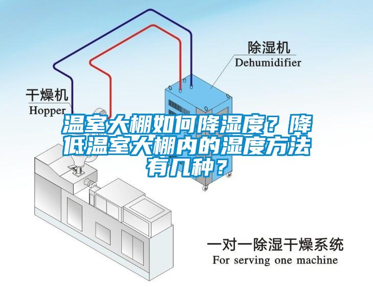 溫室大棚如何降濕度？降低溫室大棚內的濕度方法有幾種？