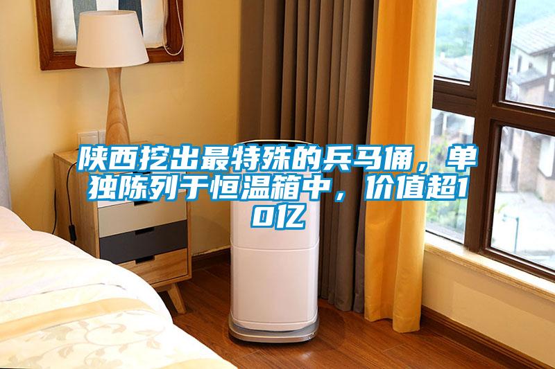 陜西挖出最特殊的兵馬俑，單獨陳列于恒溫箱中，價(jià)值超10億