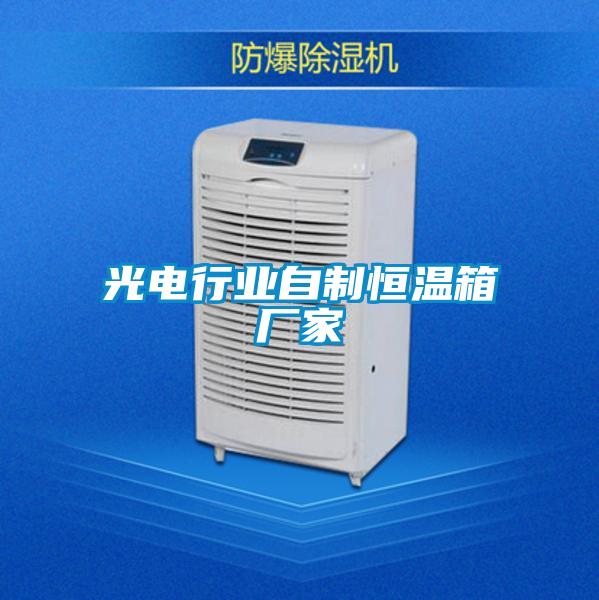 光電行業(yè)自制恒溫箱廠(chǎng)家
