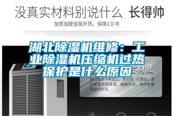 湖北除濕機維修：工業(yè)除濕機壓縮機過(guò)熱保護是什么原因