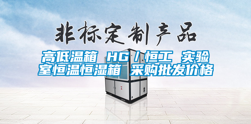 高低溫箱 HG／恒工 實(shí)驗室恒溫恒濕箱 采購批發(fā)價(jià)格