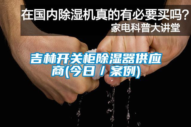 吉林開(kāi)關(guān)柜除濕器供應商(今日／案例)