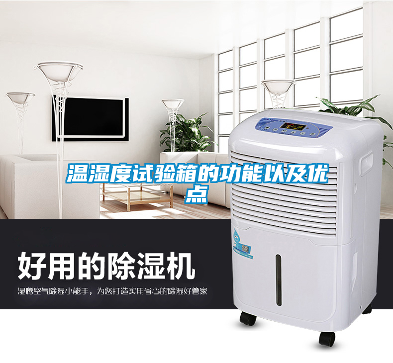 溫濕度試驗箱的功能以及優(yōu)點(diǎn)