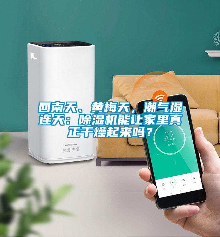 回南天、黃梅天，潮氣濕連天：除濕機能讓家里真正干燥起來(lái)嗎？
