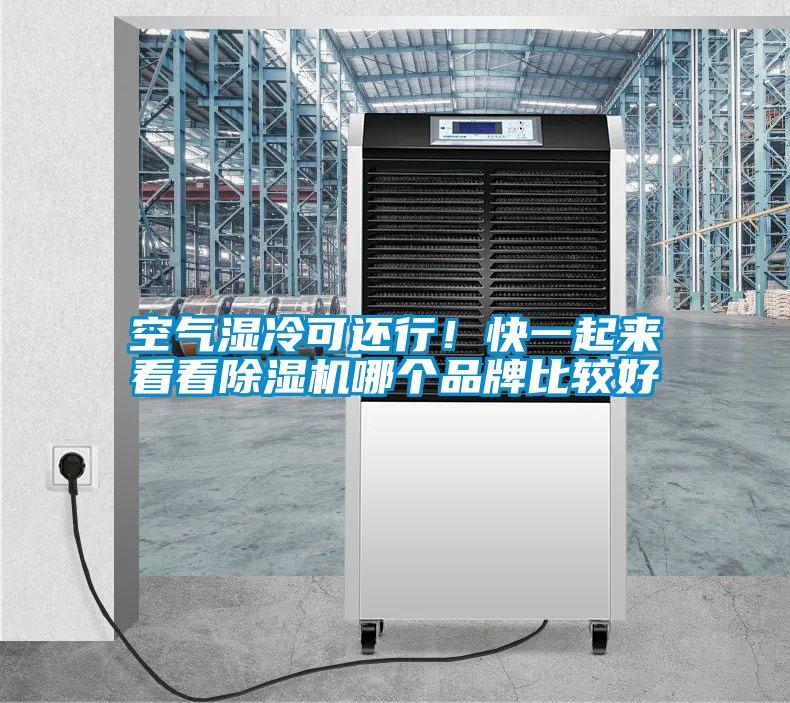 空氣濕冷可還行！快一起來(lái)看看除濕機哪個(gè)品牌比較好