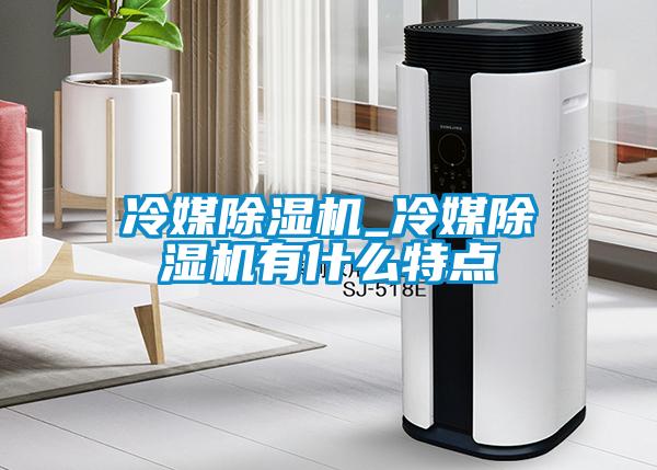 冷媒除濕機_冷媒除濕機有什么特點(diǎn)