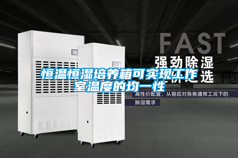 恒溫恒濕培養箱可實(shí)現工作室溫度的均一性