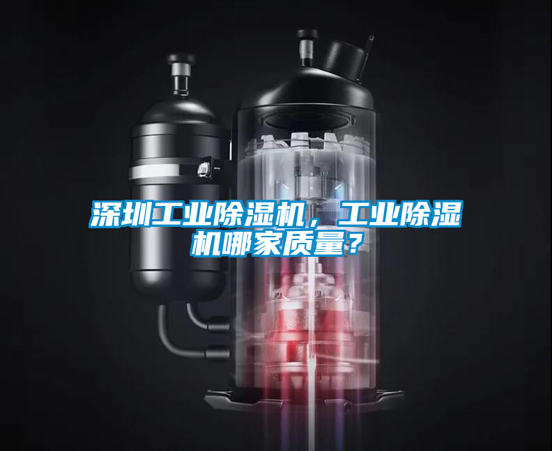 深圳工業(yè)除濕機，工業(yè)除濕機哪家質(zhì)量？