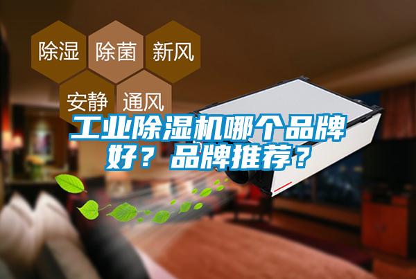 工業(yè)除濕機哪個(gè)品牌好？品牌推薦？