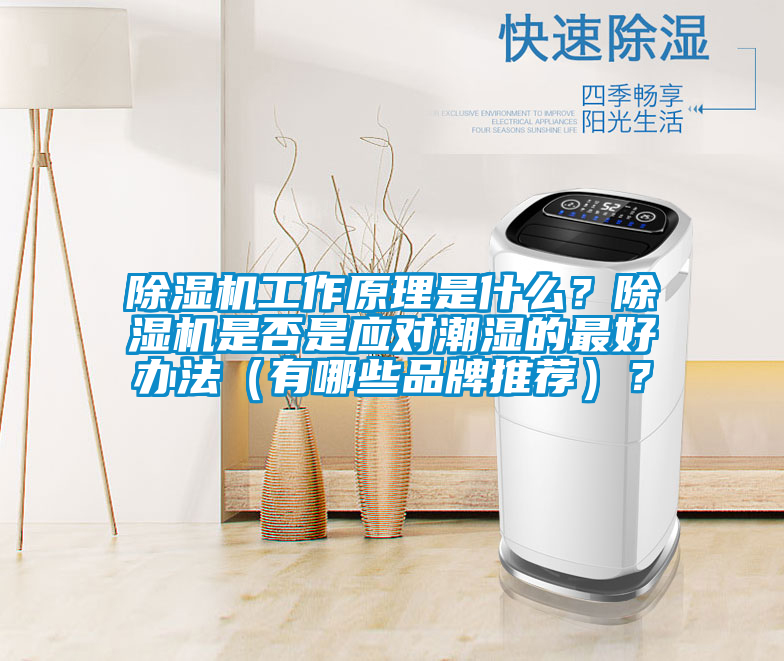 除濕機工作原理是什么？除濕機是否是應對潮濕的最好辦法（有哪些品牌推薦）？