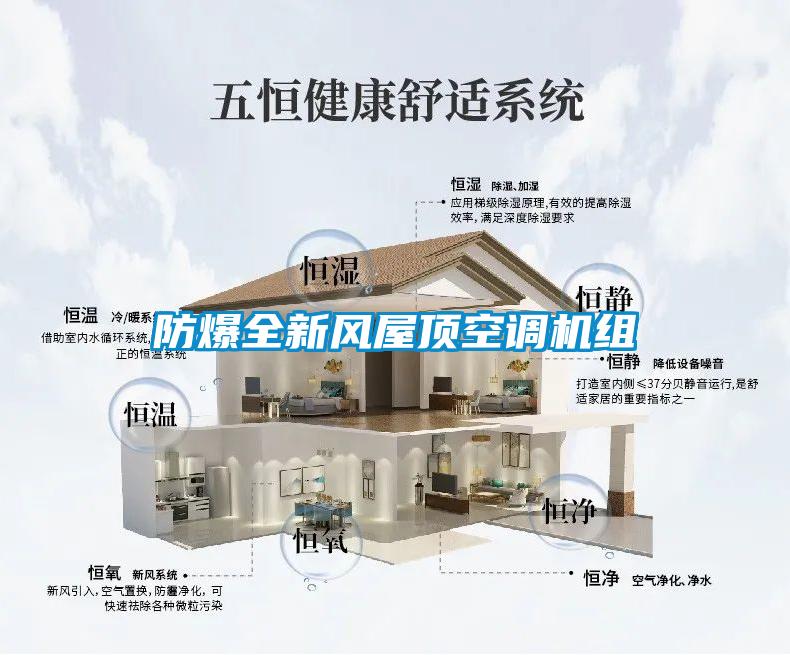 防爆全新風(fēng)屋頂空調機組