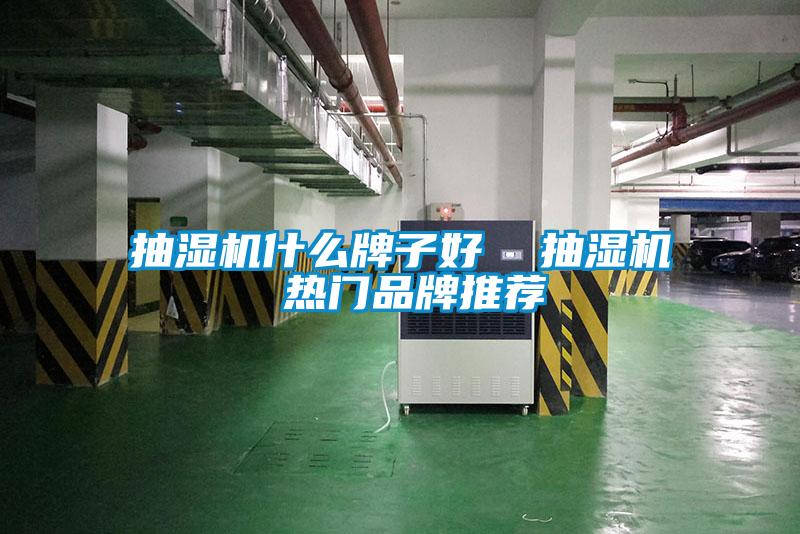 抽濕機什么牌子好  抽濕機 熱門(mén)品牌推薦