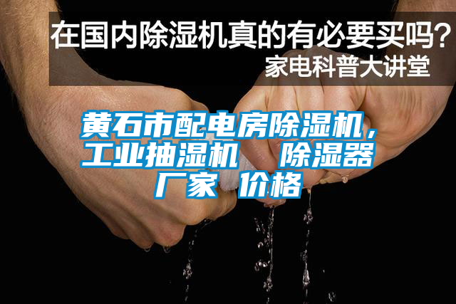 黃石市配電房除濕機，工業(yè)抽濕機  除濕器廠(chǎng)家 價(jià)格