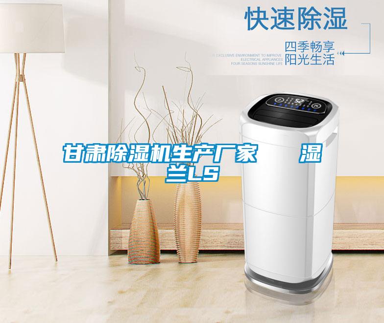 甘肅除濕機生產(chǎn)廠(chǎng)家   濕蘭LS