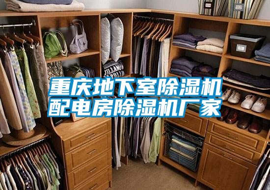 重慶地下室除濕機配電房除濕機廠(chǎng)家