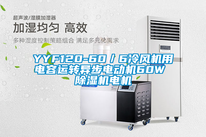 YYF120-60／6冷風(fēng)機用電容運轉異步電動(dòng)機60W 除濕機電機