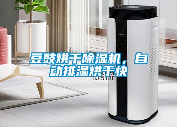 豆豉烘干除濕機，自動(dòng)排濕烘干快