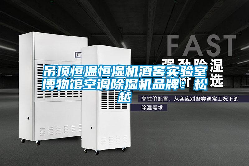 吊頂恒溫恒濕機酒窖實(shí)驗室博物館空調除濕機品牌：松越