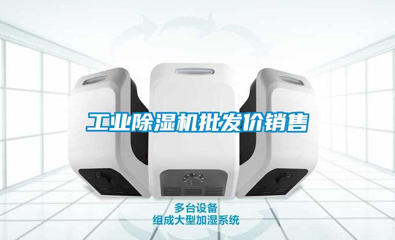 工業(yè)除濕機批發(fā)價(jià)銷(xiāo)售