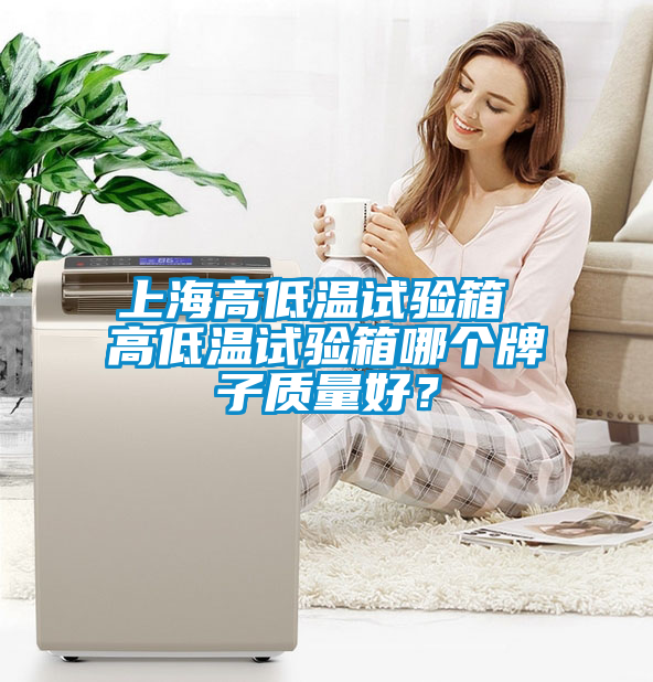 上海高低溫試驗箱 高低溫試驗箱哪個(gè)牌子質(zhì)量好？