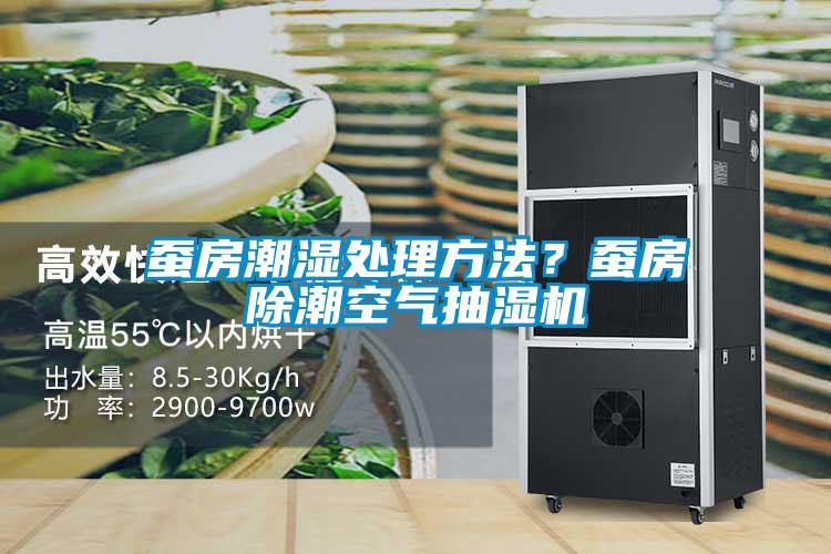 蠶房潮濕處理方法？蠶房除潮空氣抽濕機