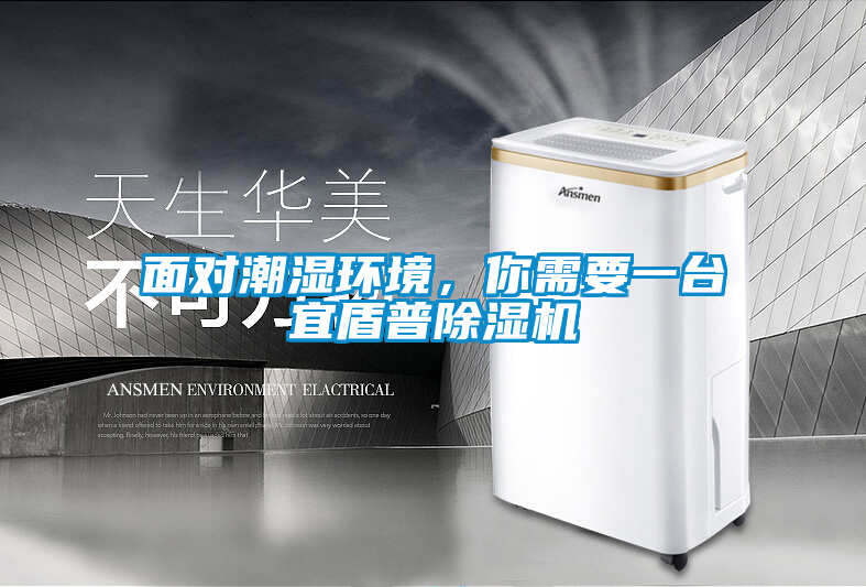 面對潮濕環(huán)境，你需要一臺宜盾普除濕機