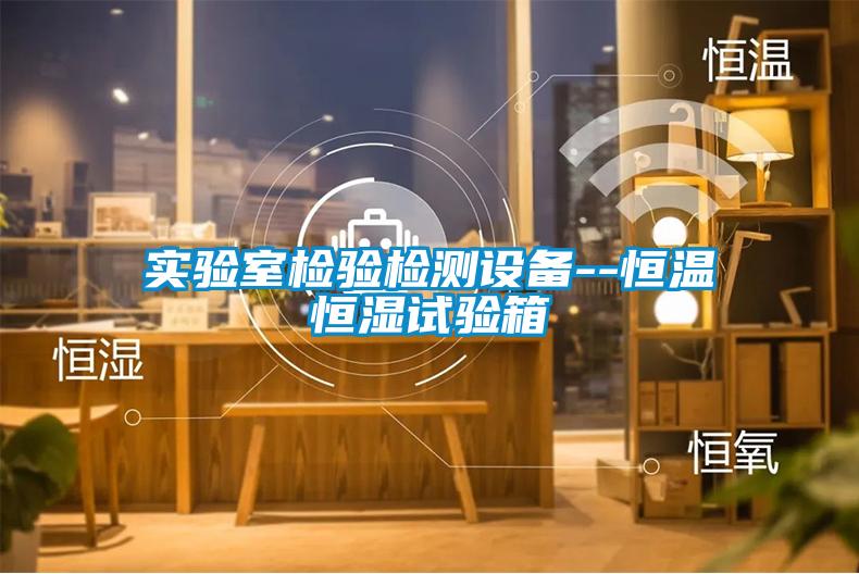 實(shí)驗室檢驗檢測設備--恒溫恒濕試驗箱