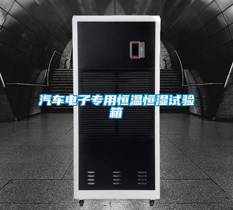 汽車(chē)電子專(zhuān)用恒溫恒濕試驗箱