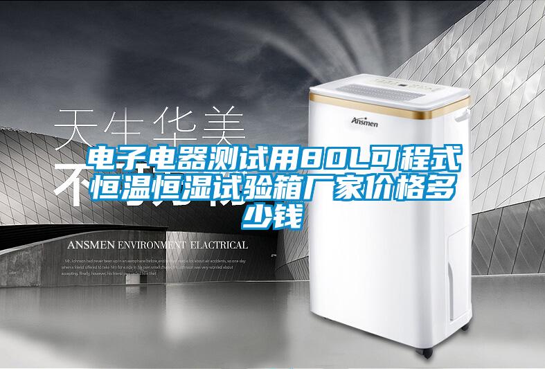 電子電器測試用80L可程式恒溫恒濕試驗箱廠(chǎng)家價(jià)格多少錢(qián)