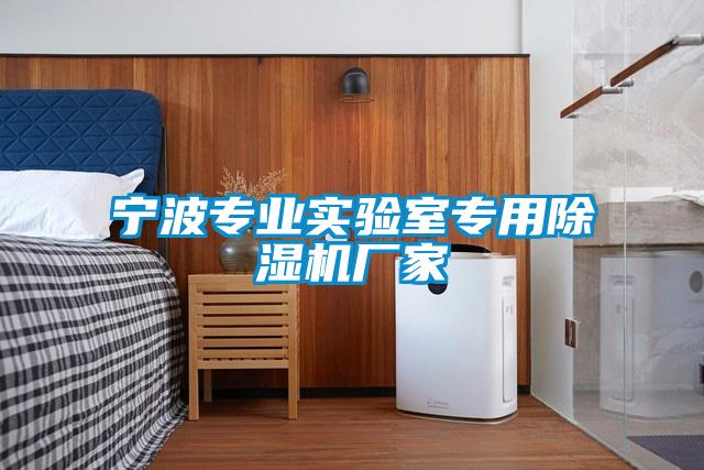 寧波專(zhuān)業(yè)實(shí)驗室專(zhuān)用除濕機廠(chǎng)家