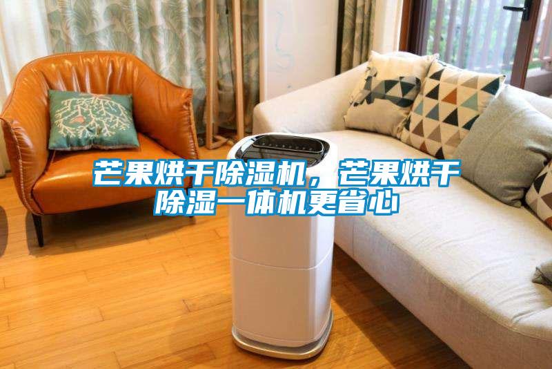 芒果烘干除濕機，芒果烘干除濕一體機更省心
