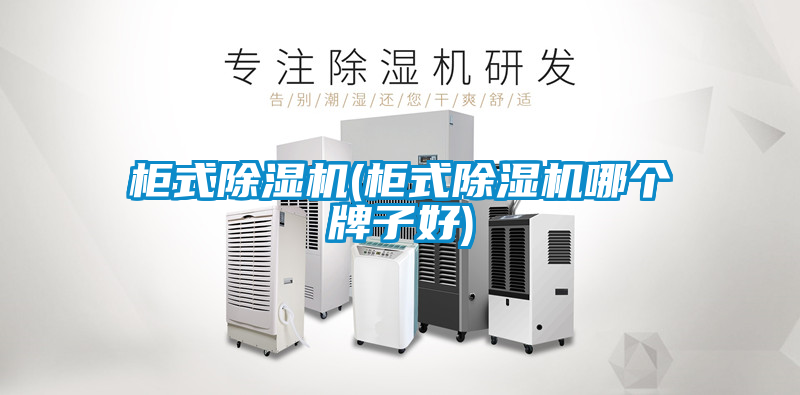 柜式除濕機(柜式除濕機哪個(gè)牌子好)