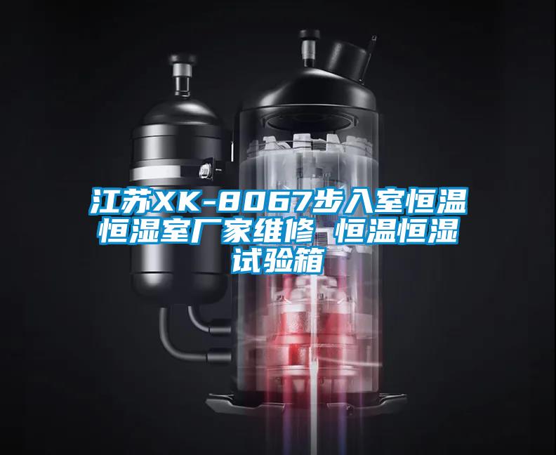 江蘇XK-8067步入室恒溫恒濕室廠(chǎng)家維修 恒溫恒濕試驗箱