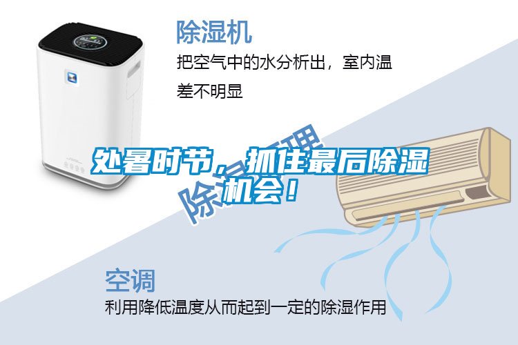 處暑時(shí)節，抓住最后除濕機會(huì )！