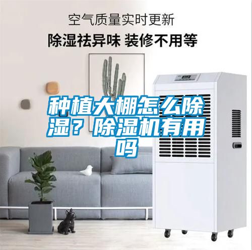 種植大棚怎么除濕？除濕機有用嗎