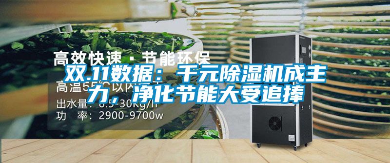 雙.11數據：千元除濕機成主力，凈化節能大受追捧
