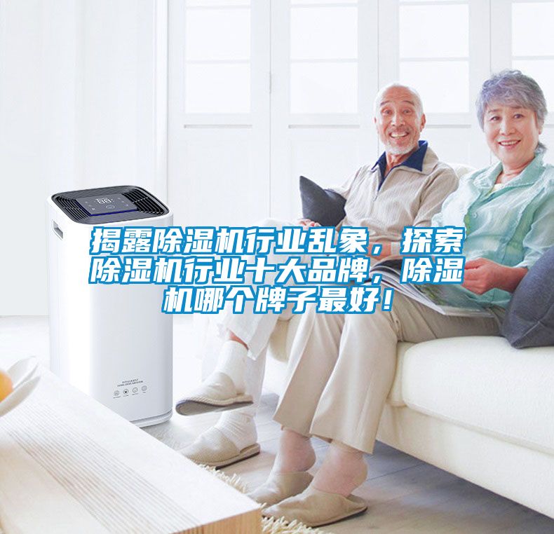 揭露除濕機行業(yè)亂象，探索除濕機行業(yè)十大品牌，除濕機哪個(gè)牌子最好！
