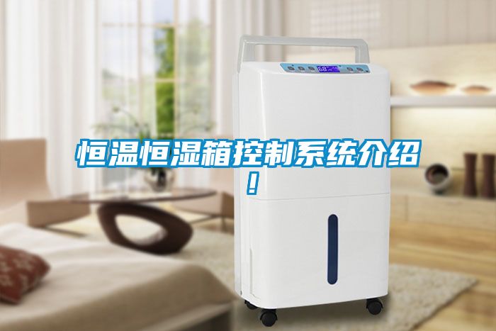 恒溫恒濕箱控制系統介紹！