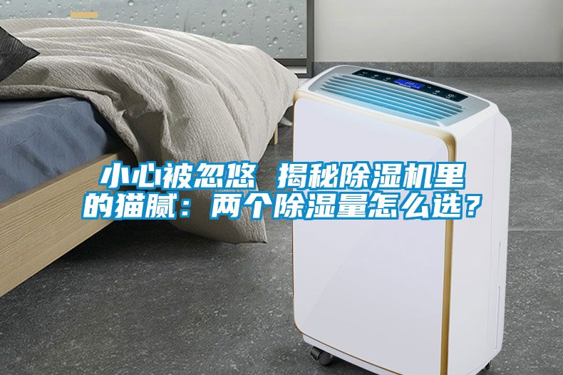 小心被忽悠 揭秘除濕機里的貓膩：兩個(gè)除濕量怎么選？