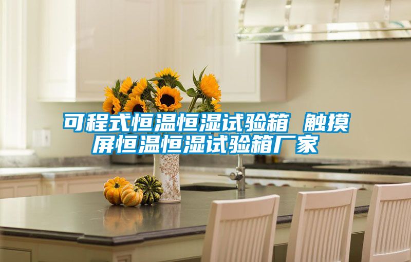 可程式恒溫恒濕試驗箱 觸摸屏恒溫恒濕試驗箱廠(chǎng)家