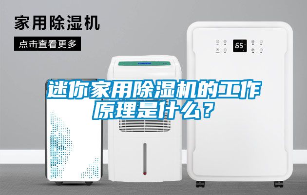 迷你家用除濕機的工作原理是什么？