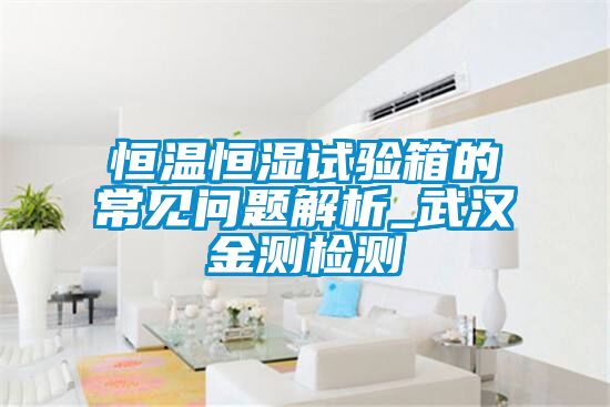 恒溫恒濕試驗箱的常見(jiàn)問(wèn)題解析_武漢金測檢測