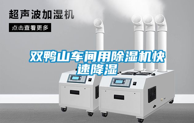 雙鴨山車(chē)間用除濕機快速降濕