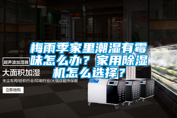梅雨季家里潮濕有霉味怎么辦？家用除濕機怎么選擇？