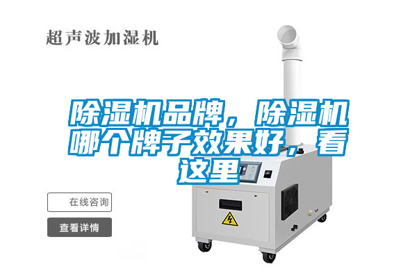 除濕機品牌，除濕機哪個(gè)牌子效果好，看這里